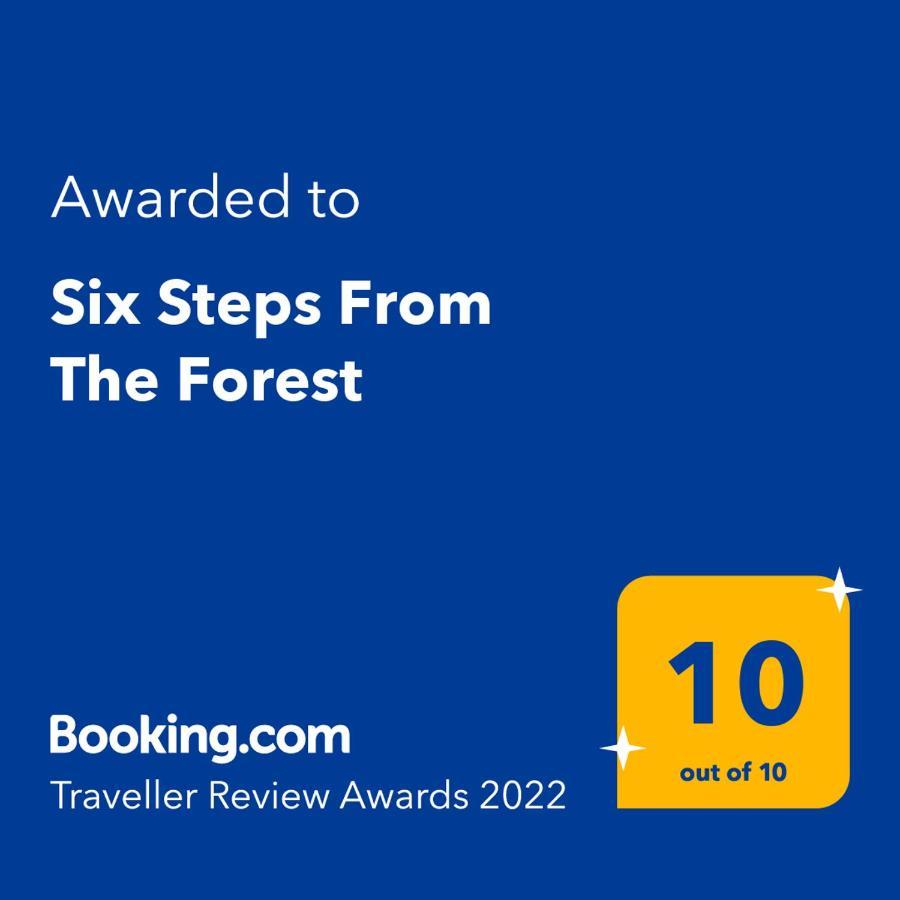 Six Steps From The Forest Zigos  Luaran gambar